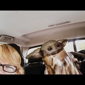 Meet your Posher, Stephanie